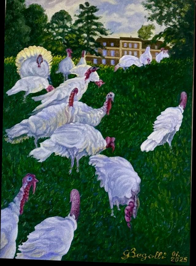 White turkeys with red heads gathered on green grass before a house and trees