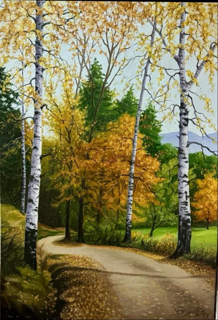 A winding path through birch trees with yellow autumn leaves